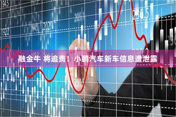 融金牛 将追责！小鹏汽车新车信息遭泄露