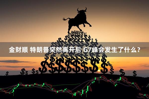 金财顺 特朗普突然离开后 G7峰会发生了什么？