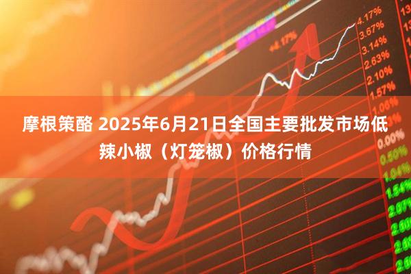 摩根策酪 2025年6月21日全国主要批发市场低辣小椒（灯笼椒）价格行情
