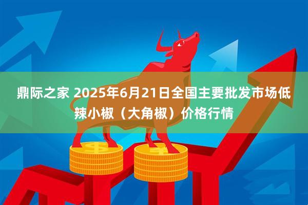 鼎际之家 2025年6月21日全国主要批发市场低辣小椒（大角椒）价格行情