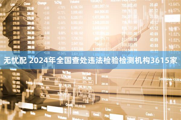 无忧配 2024年全国查处违法检验检测机构3615家