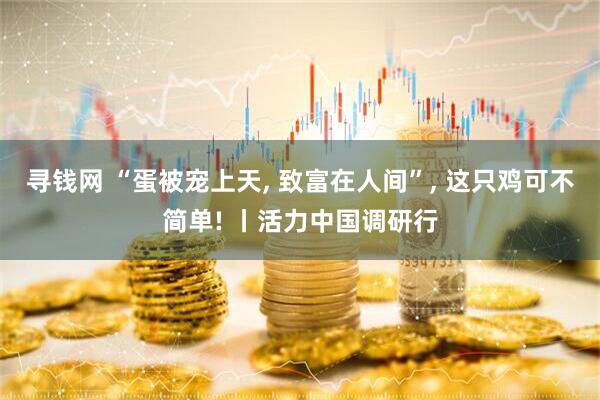 寻钱网 “蛋被宠上天, 致富在人间”, 这只鸡可不简单! 丨活力中国调研行