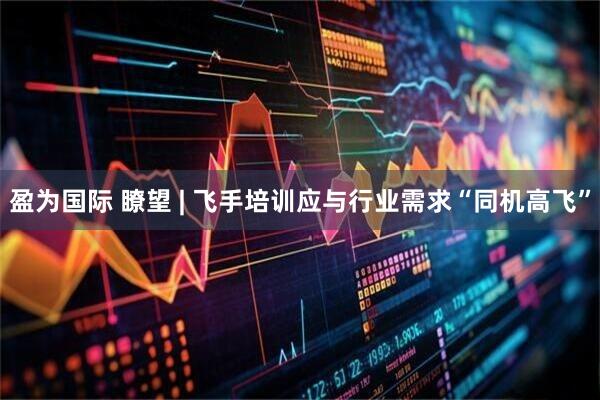 盈为国际 瞭望 | 飞手培训应与行业需求“同机高飞”