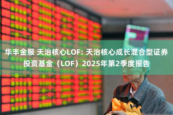 华丰金服 天治核心LOF: 天治核心成长混合型证券投资基金（LOF）2025年第2季度报告