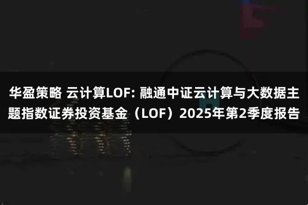 华盈策略 云计算LOF: 融通中证云计算与大数据主题指数证券投资基金(LOF)2025年第2季度报告