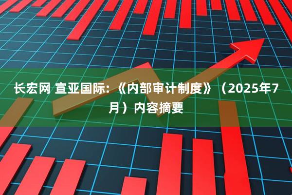 长宏网 宣亚国际: 《内部审计制度》（2025年7月）内容摘要